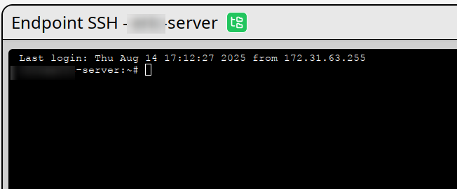 Endpoints SSH Session